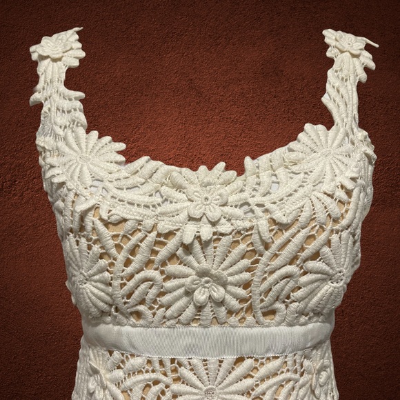 Nicole Miller Signature Floral Crochet Ivory Dress - Small - Picture 3 of 7